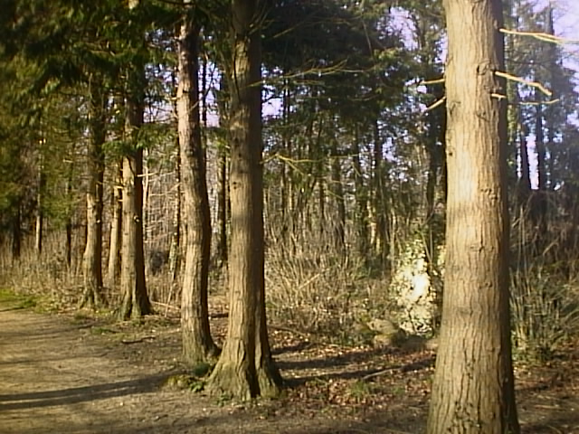 canon-powershot-350-sample-image-AUT_0981