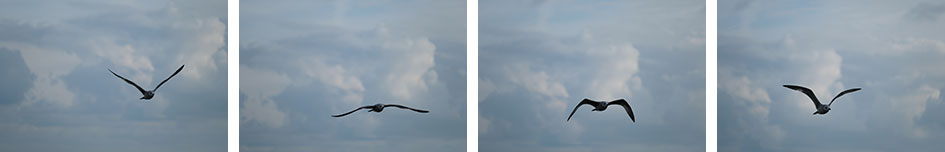 fujixt2_burst6_row2_full_945