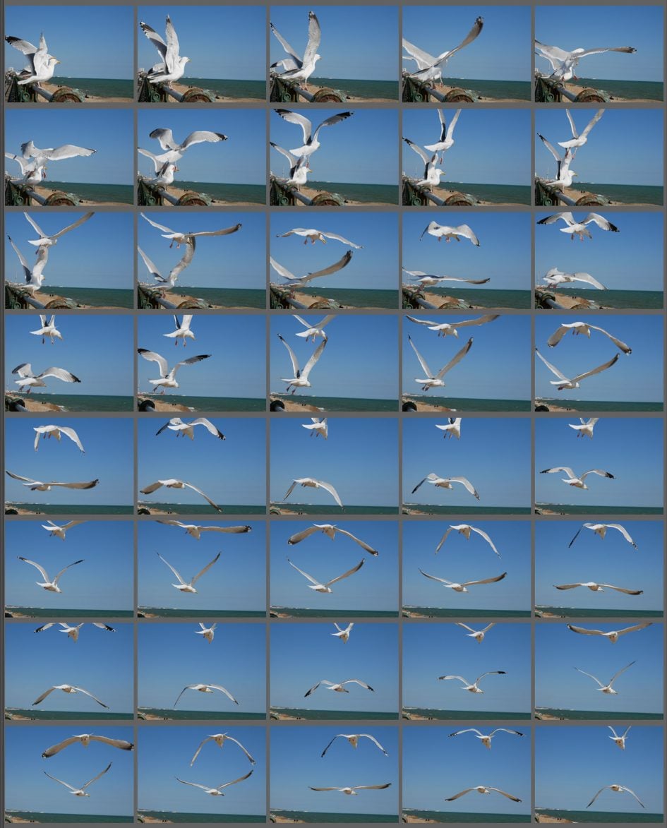 Pana_GX800_4k_photo_burst