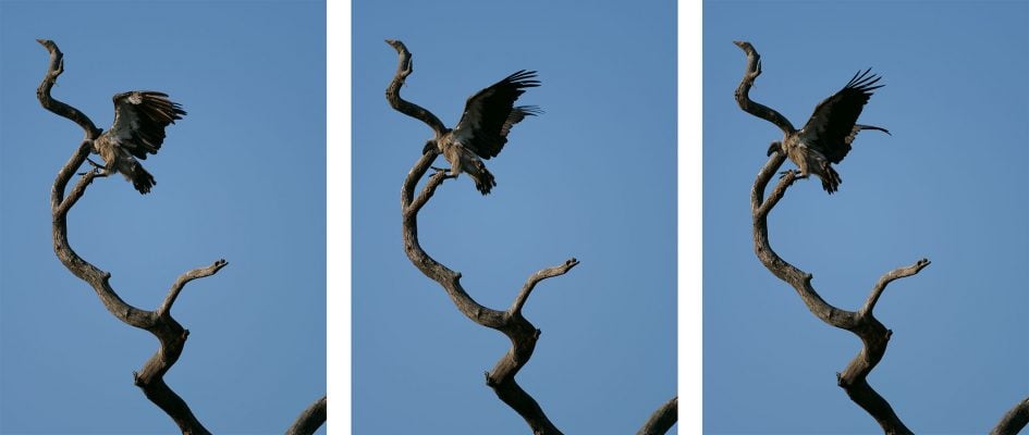 panasonic-lumix-g9-shpre1-row3