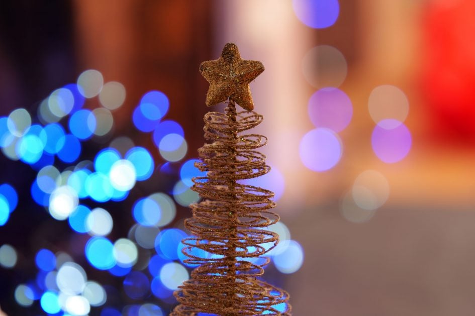 sigma-300-600mm-f4-dg-os-sample-image-P1034059