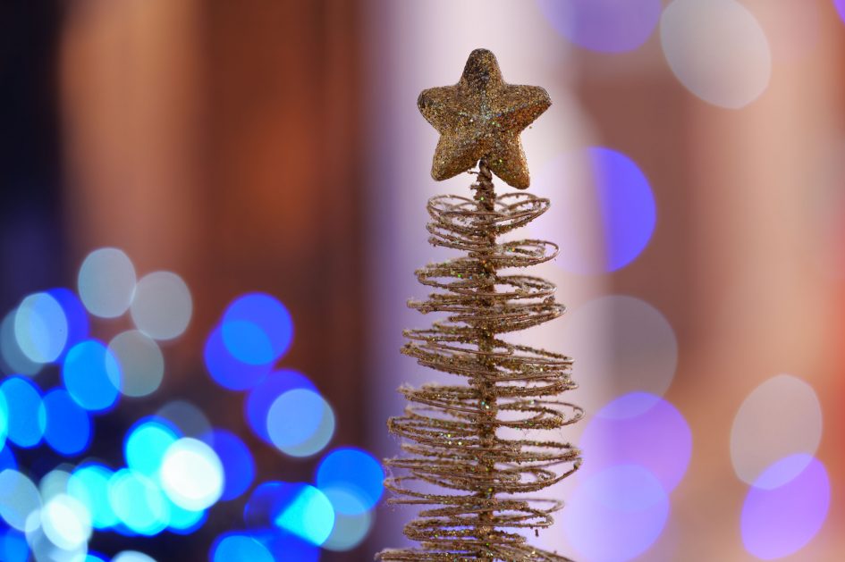 sigma-300-600mm-f4-dg-os-sample-image-P1034062